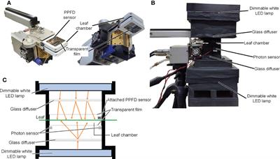 Evaluation of the enhancement of photosynthetic rate in a komatsuna (Brassica rapa L. var. perviridis) canopy with upward lighting using an optical simulation in a plant factory with artificial light